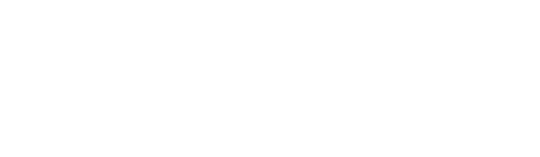 TTFields Logo